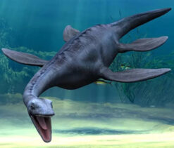 Plesiosaurus